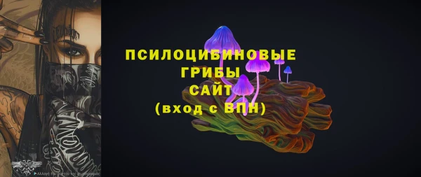 стафф Няндома