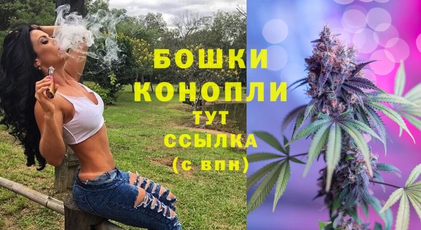 стафф Няндома