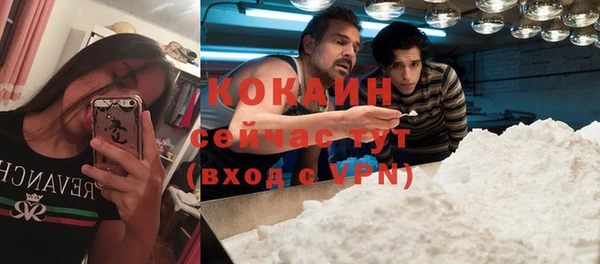 стафф Няндома